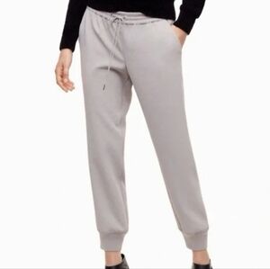 Wilfred Aritzia Buffon Light Grey Jogger Pant Size XXS Crepe Work Slacks